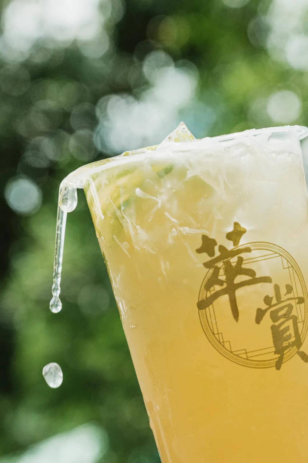 甘杯最新菜单及其制作指南