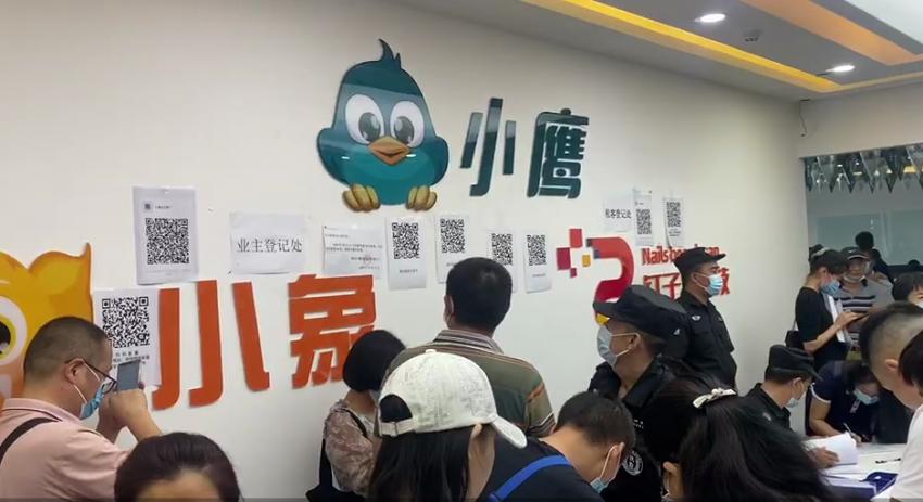 小鹰找房的最新旅程，探索自然美景的愉快之旅